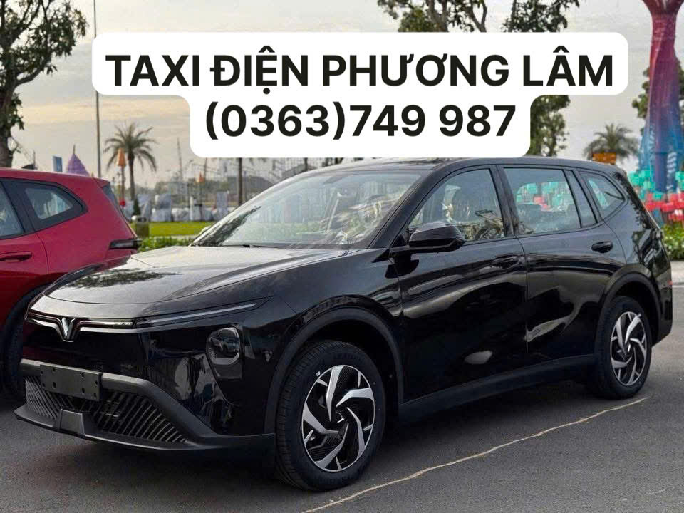 Taxi Điện Phương Lâm