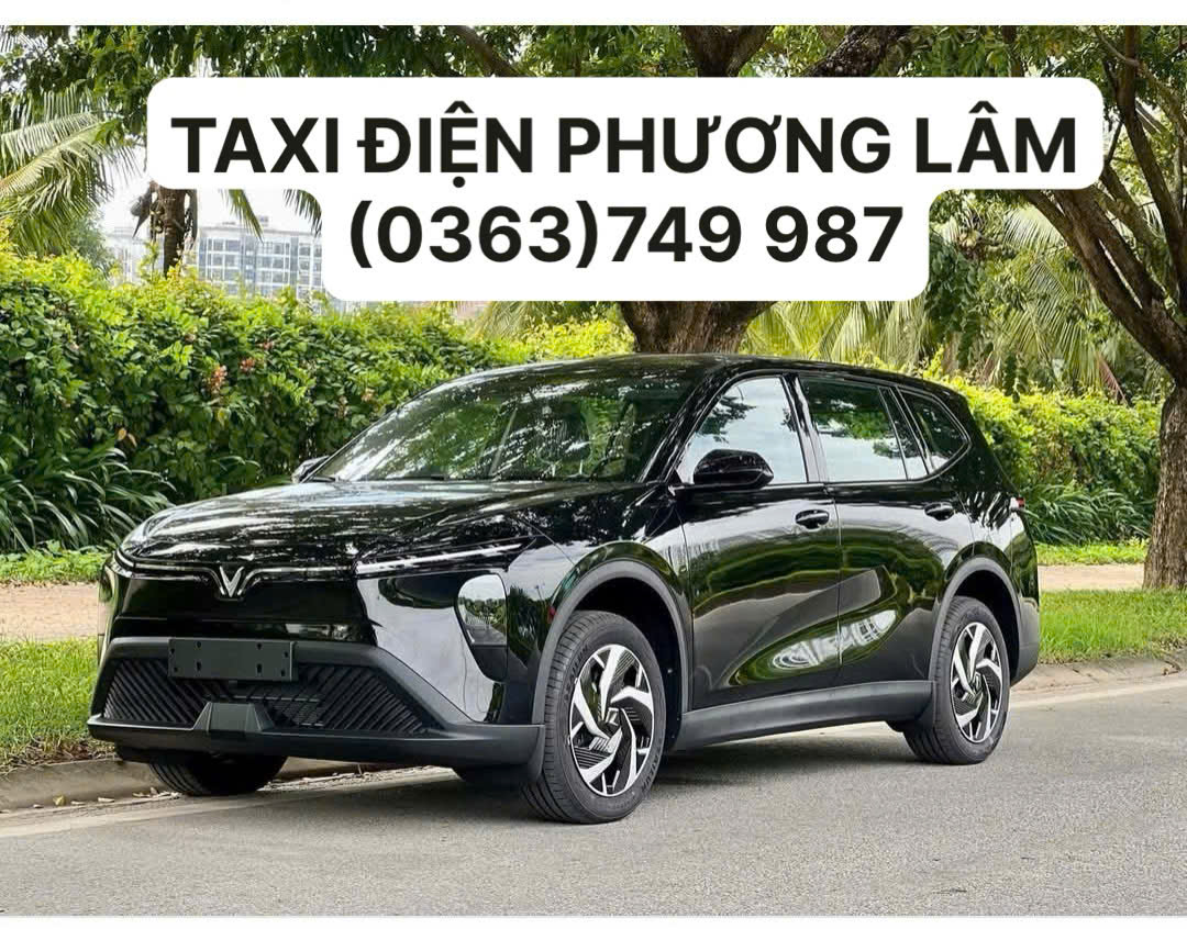 Taxi Điện Phương Lâm